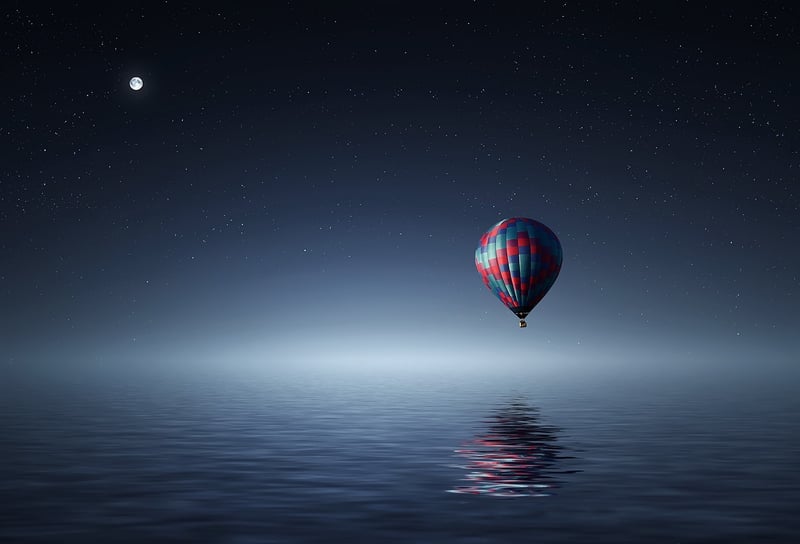 Moonlit Glade