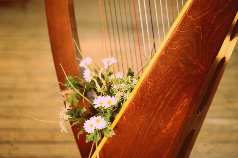 Medieval Harpist