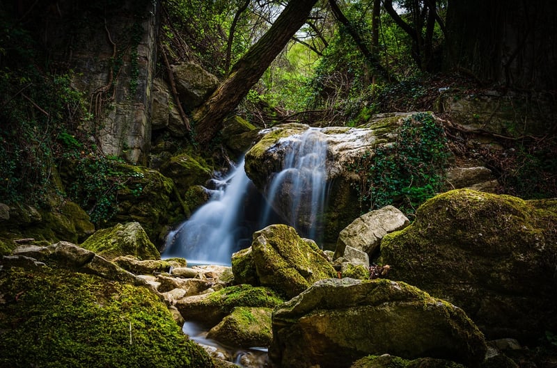 Waterfall Oasis